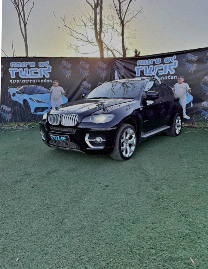 BMW X6 2010